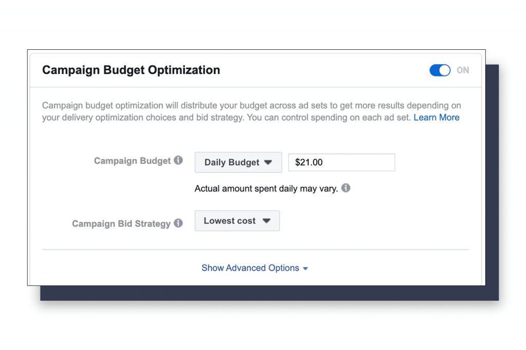 Campaign budget optimization set up 1024x682 1 / What is CBO? Are you Ready for the Next Step in Facebook Budgeting? / Beyond Blue Media